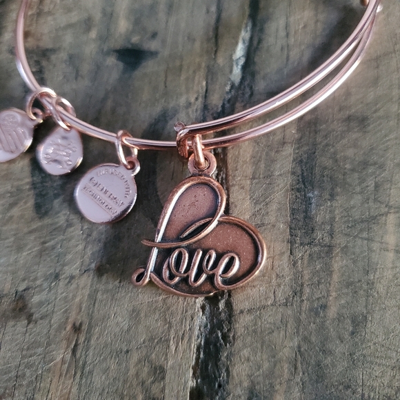 ALEX AND ANI Women's Path Of Symbols Love IV Rose Gold Charm Bangle‎ | Bracelet - Picture 3 of 9